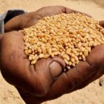 Tired of Rushing for Flights? More Travelers Are Embracing “Slow Travel”