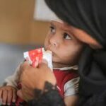 Dubai Miracle Garden Announces Opening Date for Season 14